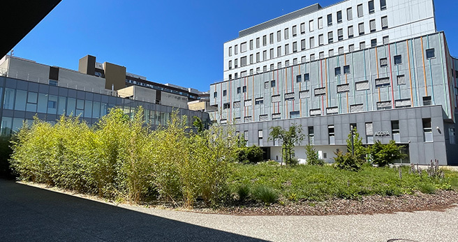 Hôpital vue extérieure. Décoration façade.