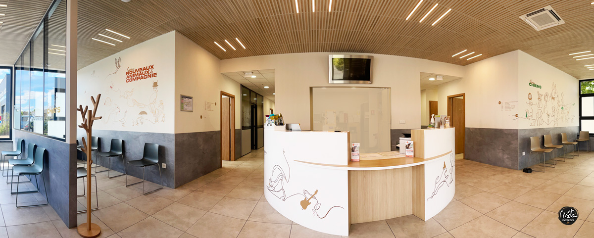 A veterinary clinic decoration transformed! Fresco, window stickers and adapted signage – Amcb