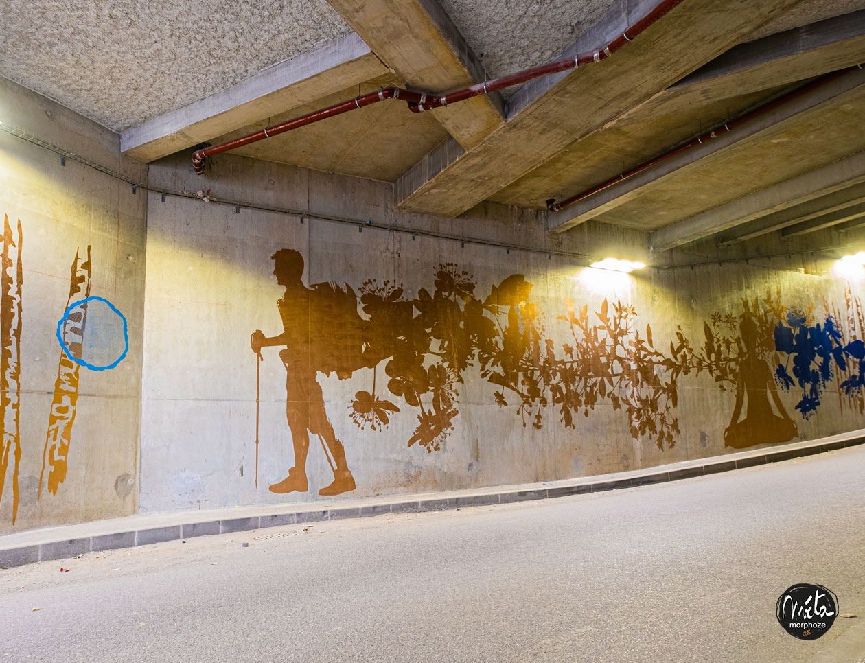 Fresque tunnel Alpe Huez Activités